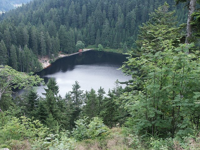 Glaswaldsee 2008 Bild 13